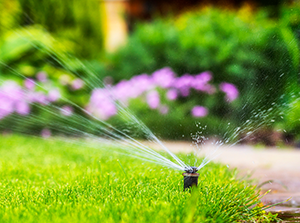 Sprinkler system watering lawn